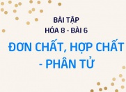 Bài tập về Đơn chất, Hợp chất và Phân tử: Giải bài tập 1, 2, 3, 4, 5, 6, 7 trang 25, 26 SGK Hóa 8 bài 6
